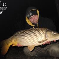 QUENTIN ZAMBELLI - TESTEUR HCC