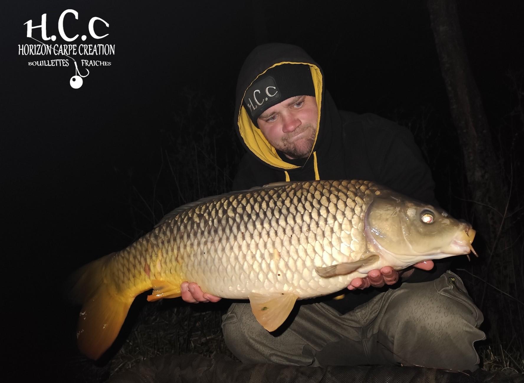 QUENTIN ZAMBELLI - TESTEUR HCC