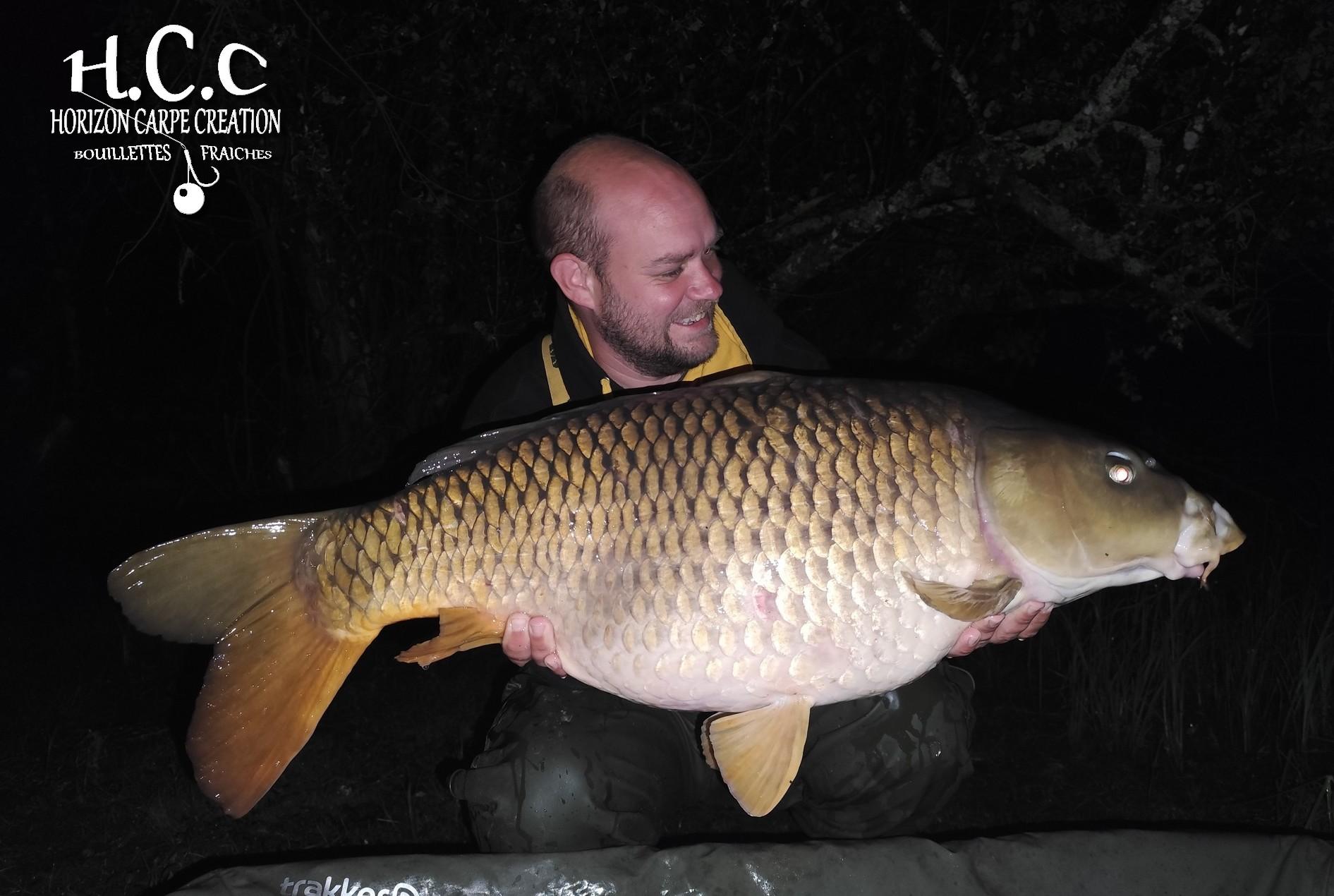 QUENTIN ZAMBELLI - TESTEUR HCC