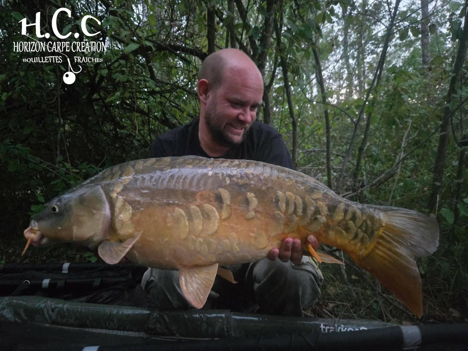 QUENTIN ZAMBELLI - TESTEUR HCC