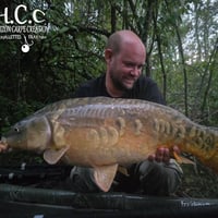 QUENTIN ZAMBELLI - TESTEUR HCC