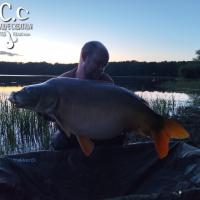 QUENTIN ZAMBELLI - TESTEUR HCC