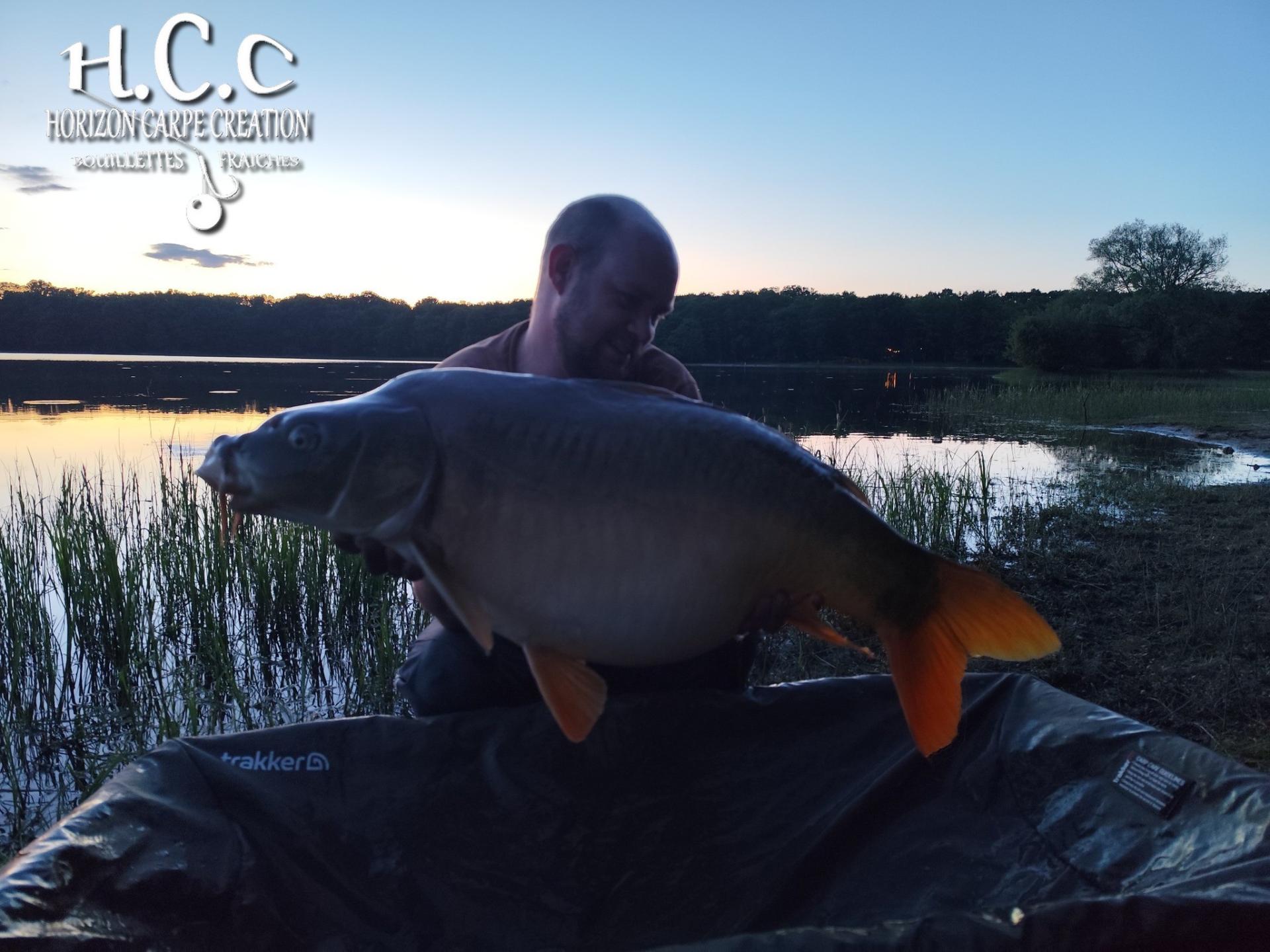 QUENTIN ZAMBELLI - TESTEUR HCC