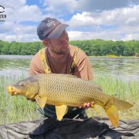 QUENTIN ZAMBELLI - TESTEUR HCC