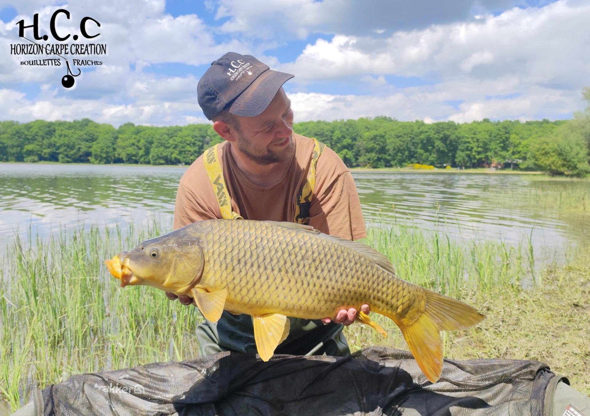 QUENTIN ZAMBELLI - TESTEUR HCC