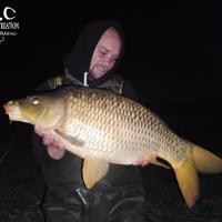 QUENTIN ZAMBELLI - TESTEUR HCC