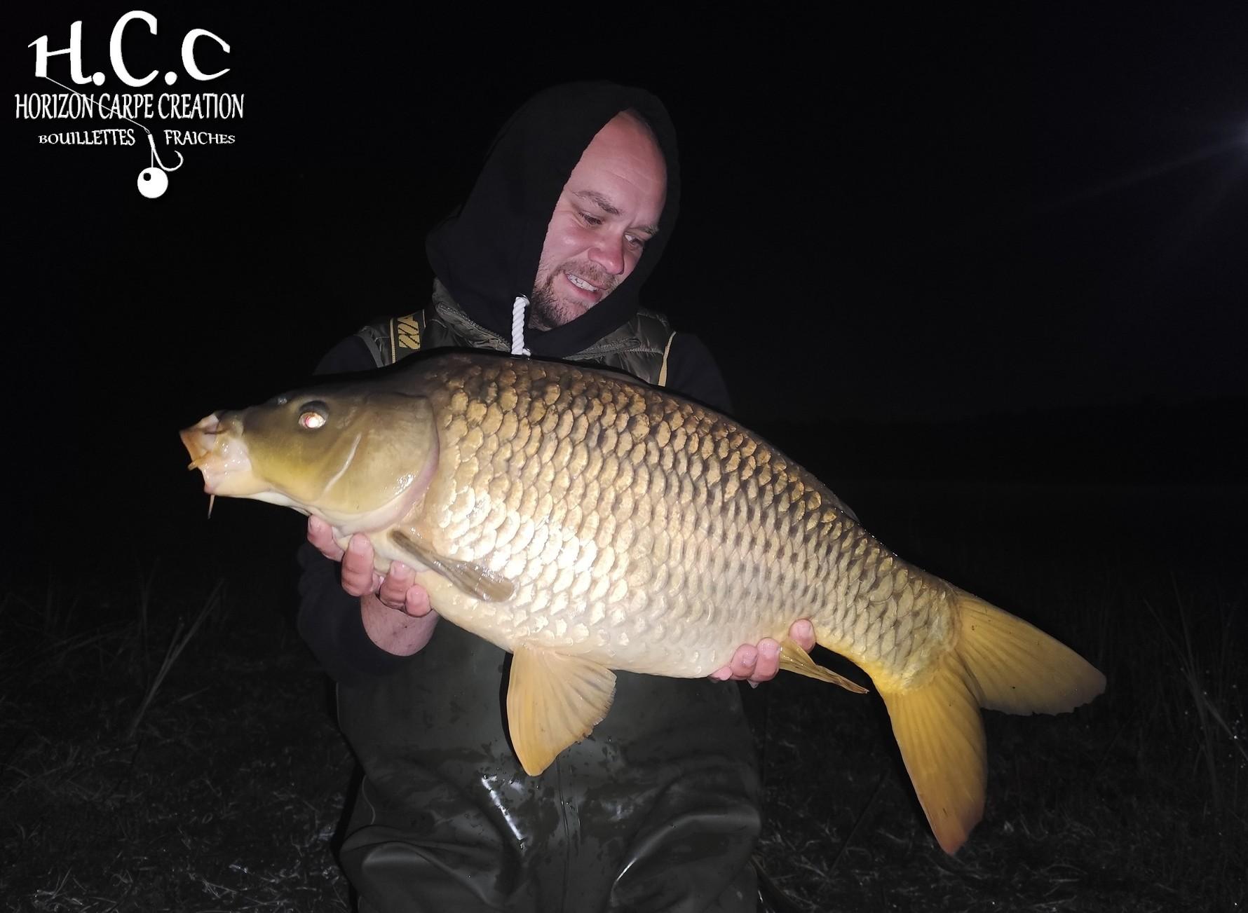 QUENTIN ZAMBELLI - TESTEUR HCC