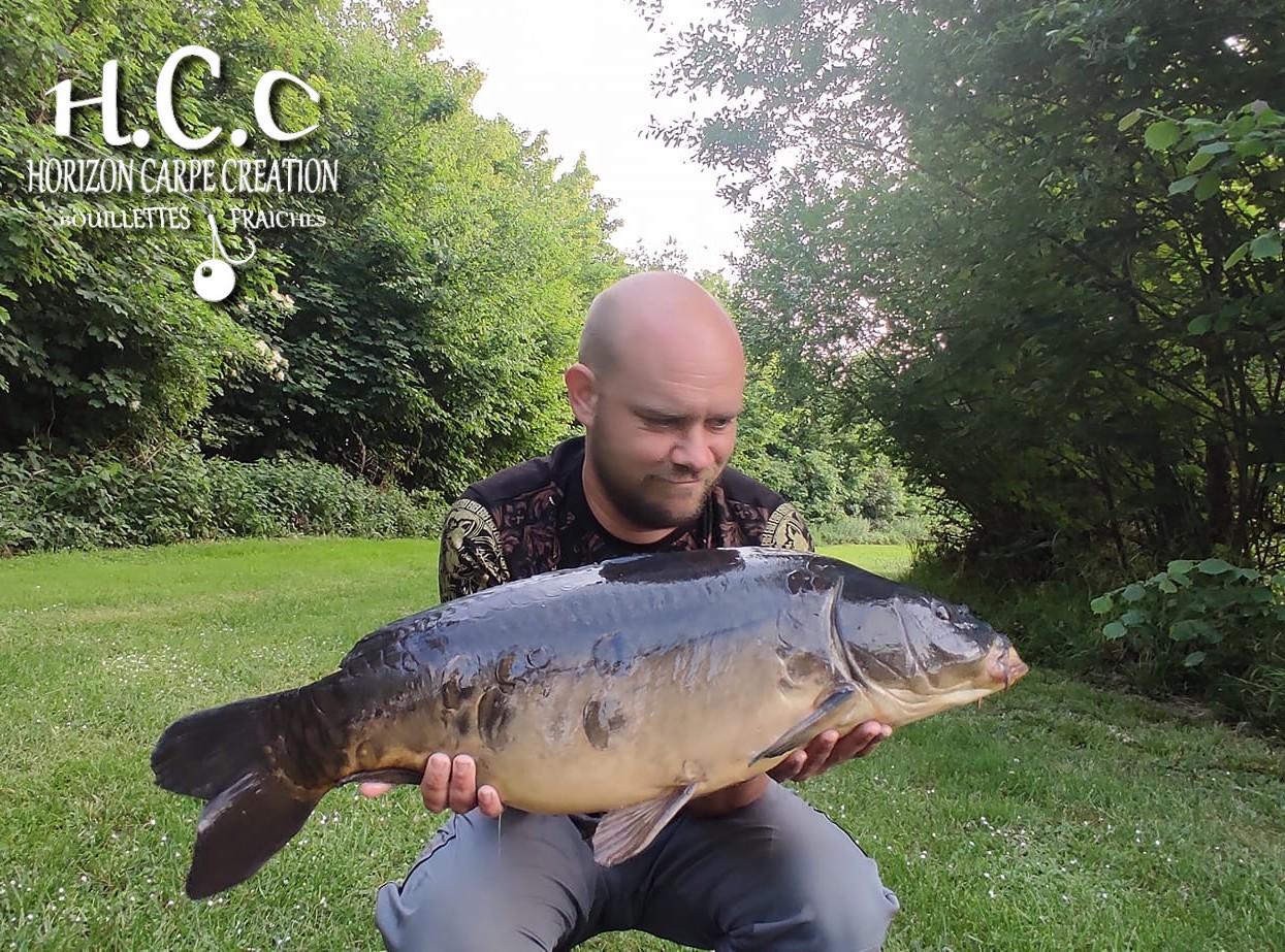 QUENTIN ZAMBELLI - CONSULTANT HCC