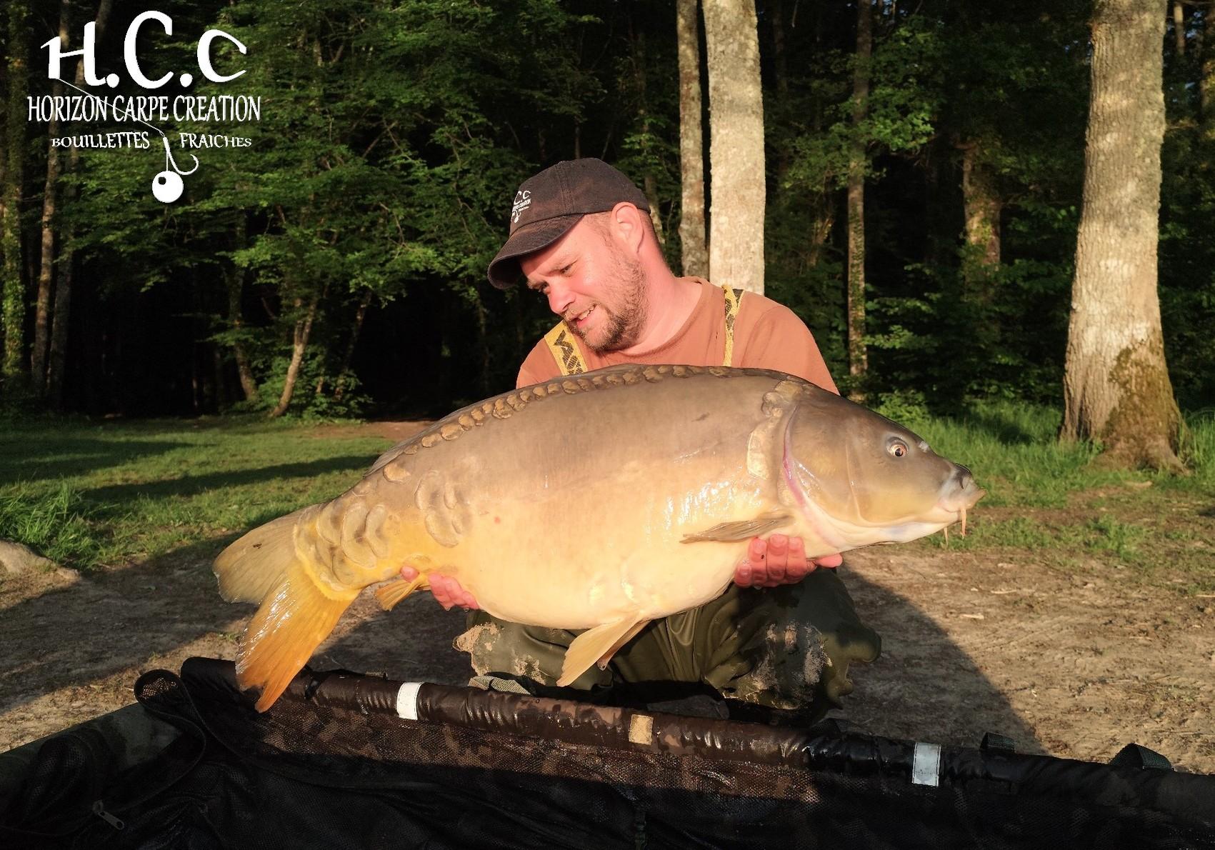 QUENTIN ZAMBELLI - TESTEUR HCC