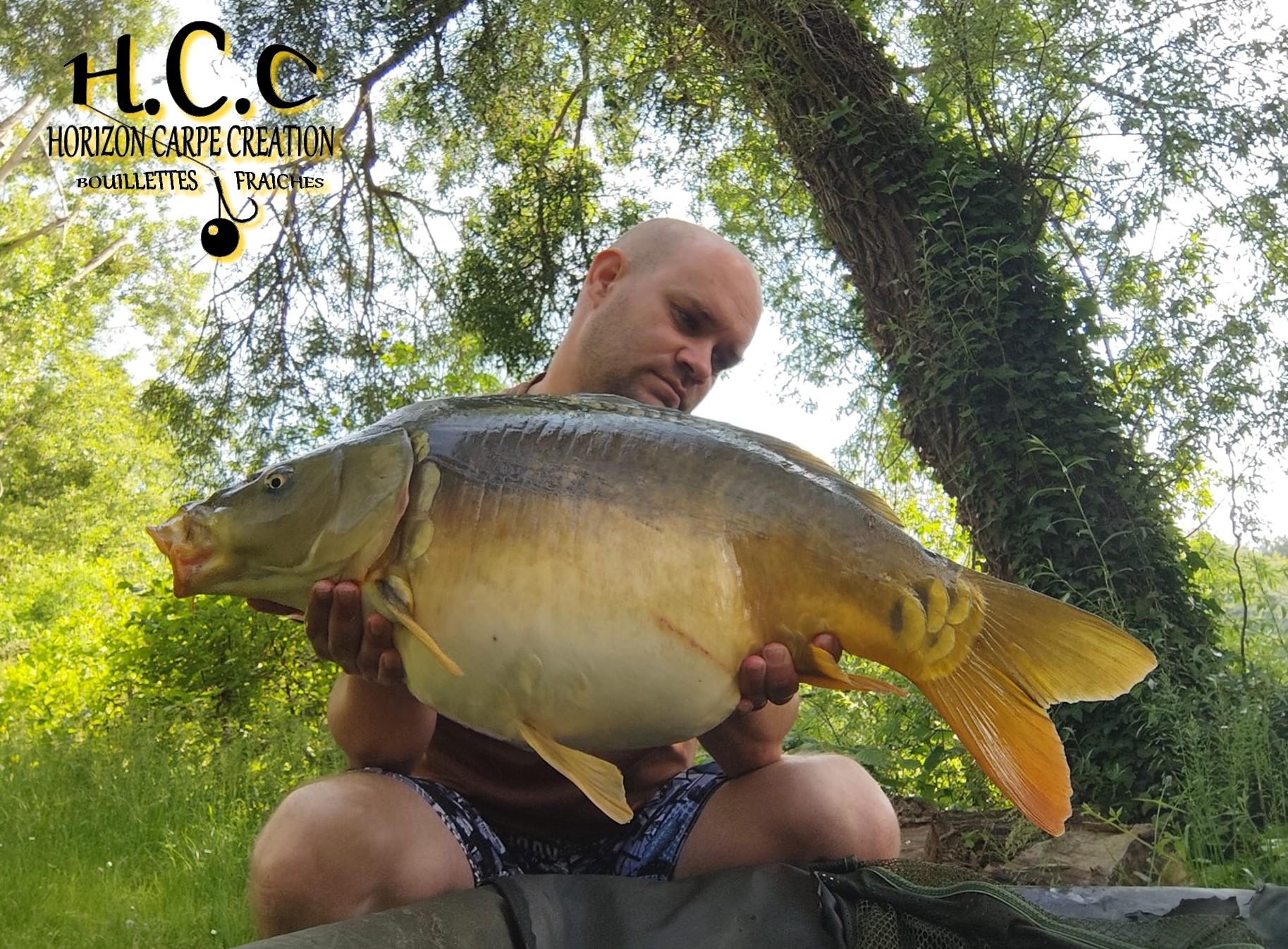 QUENTIN ZAMBELLI - TESTEUR HCC