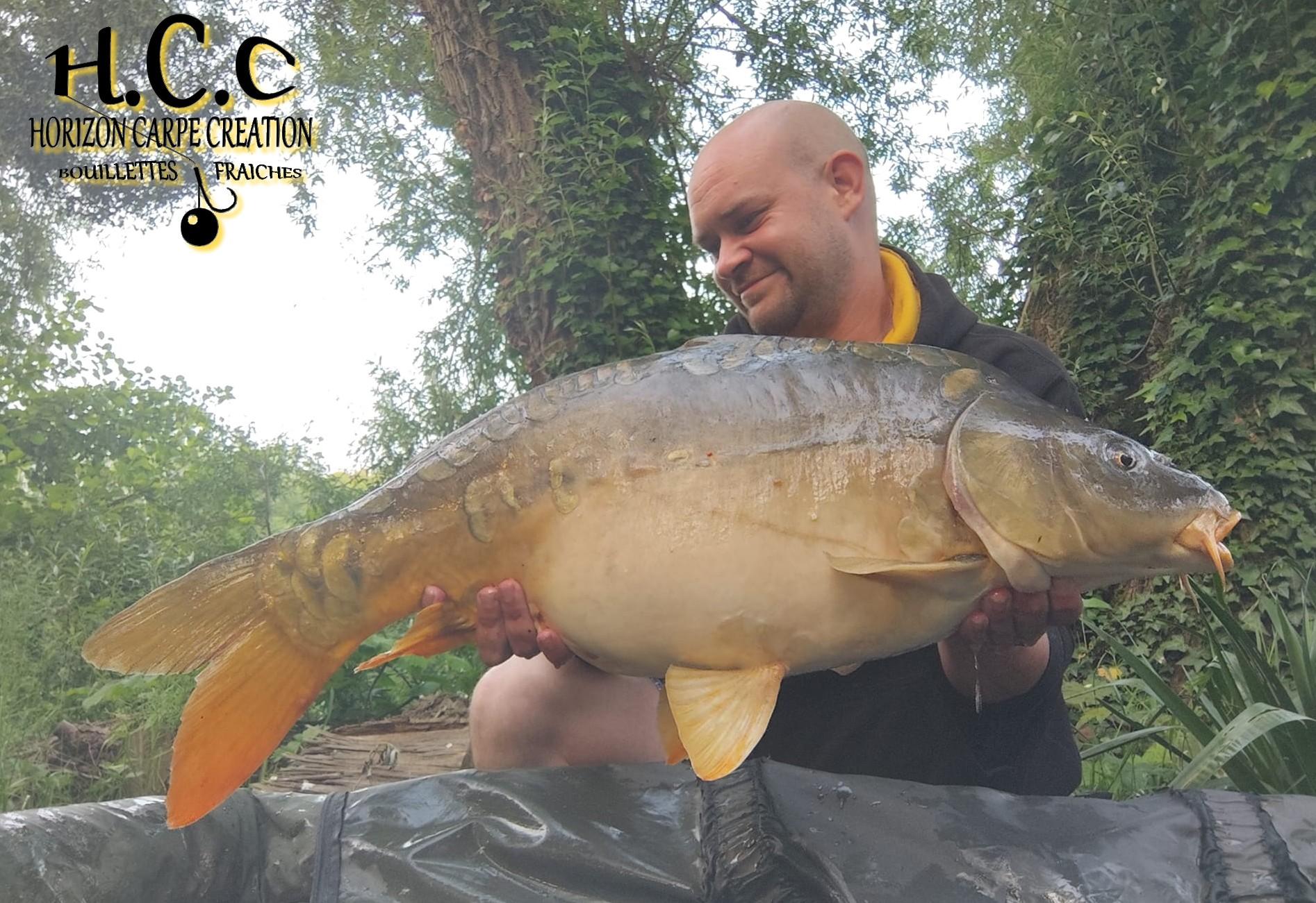 QUENTIN ZAMBELLI - TESTEUR HCC