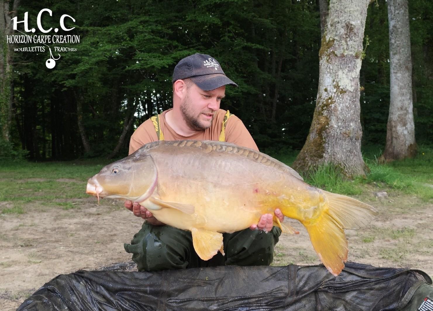 QUENTIN ZAMBELLI - TESTEUR HCC