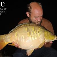 QUENTIN ZAMBELLI - CONSULTANT HCC