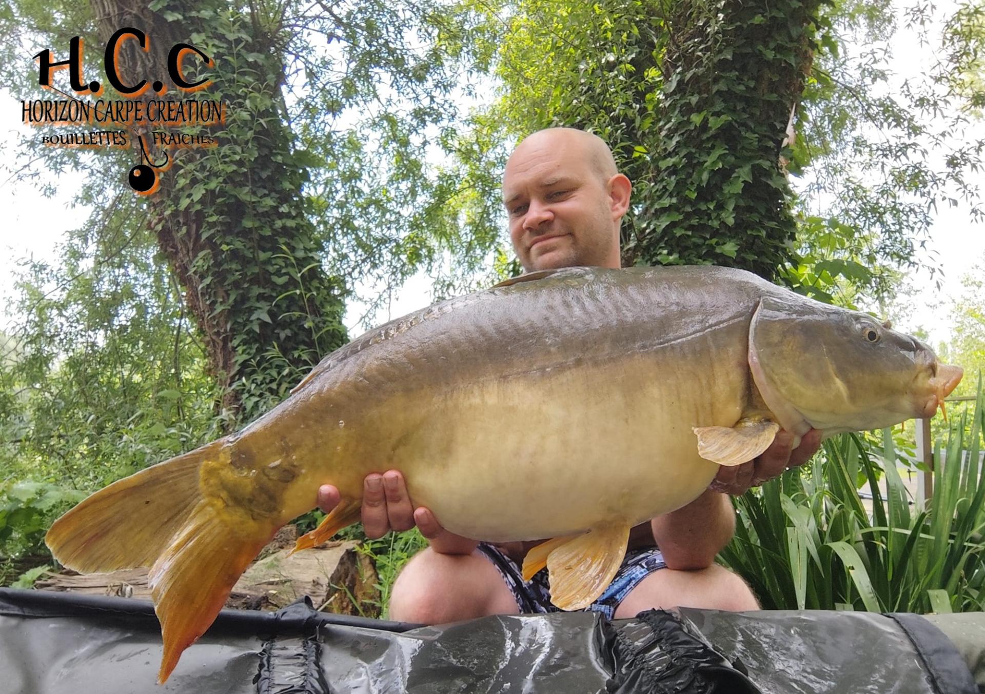 QUENTIN ZAMBELLI - TESTEUR HCC