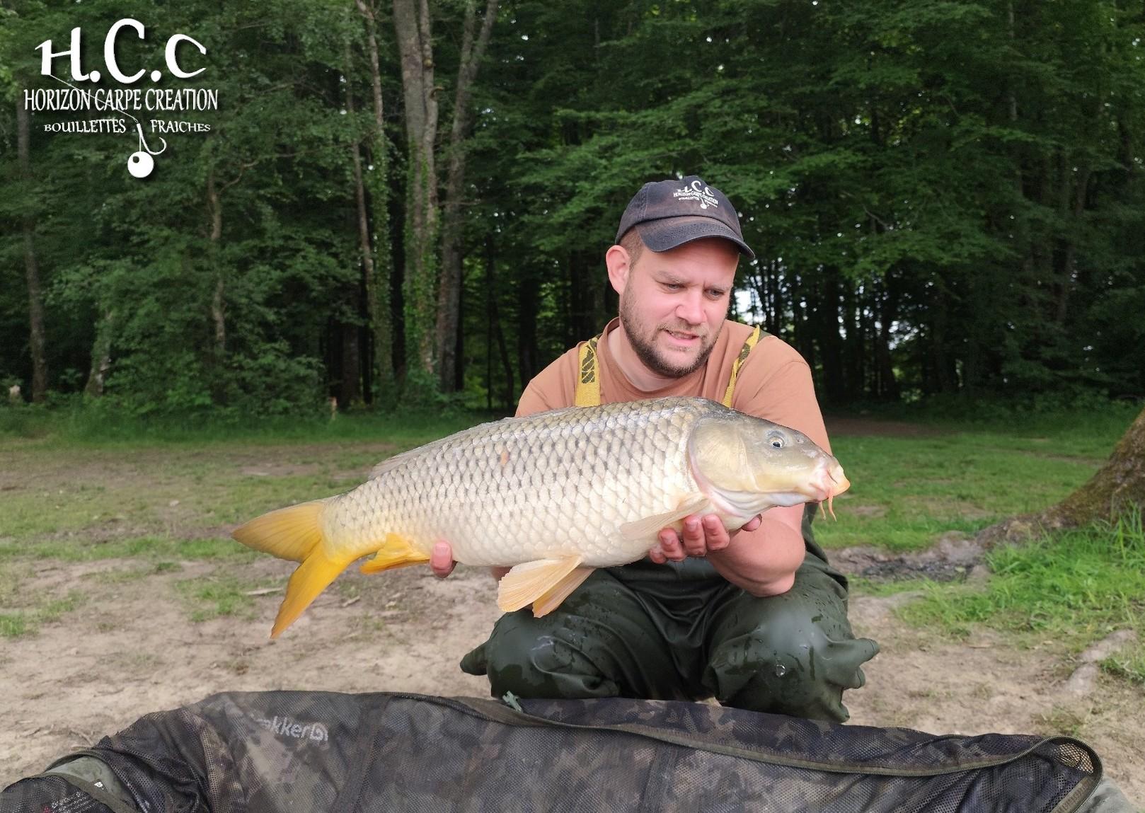 QUENTIN ZAMBELLI - TESTEUR HCC