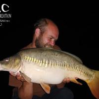 QUENTIN ZAMBELLI - CONSULTANT HCC