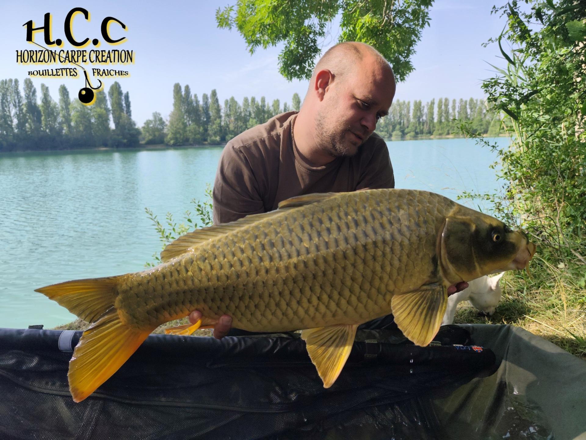 QUENTIN ZAMBELLI - TESTEUR HCC