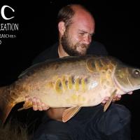 QUENTIN ZAMBELLI - CONSULTANT HCC