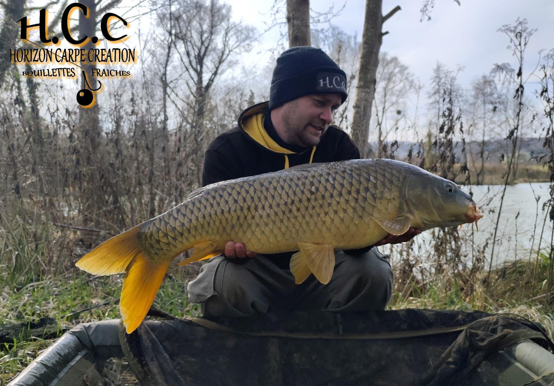 QUENTIN ZAMBELLI - TESTEUR HCC