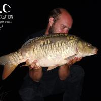 QUENTIN ZAMBELLI - CONSULTANT HCC