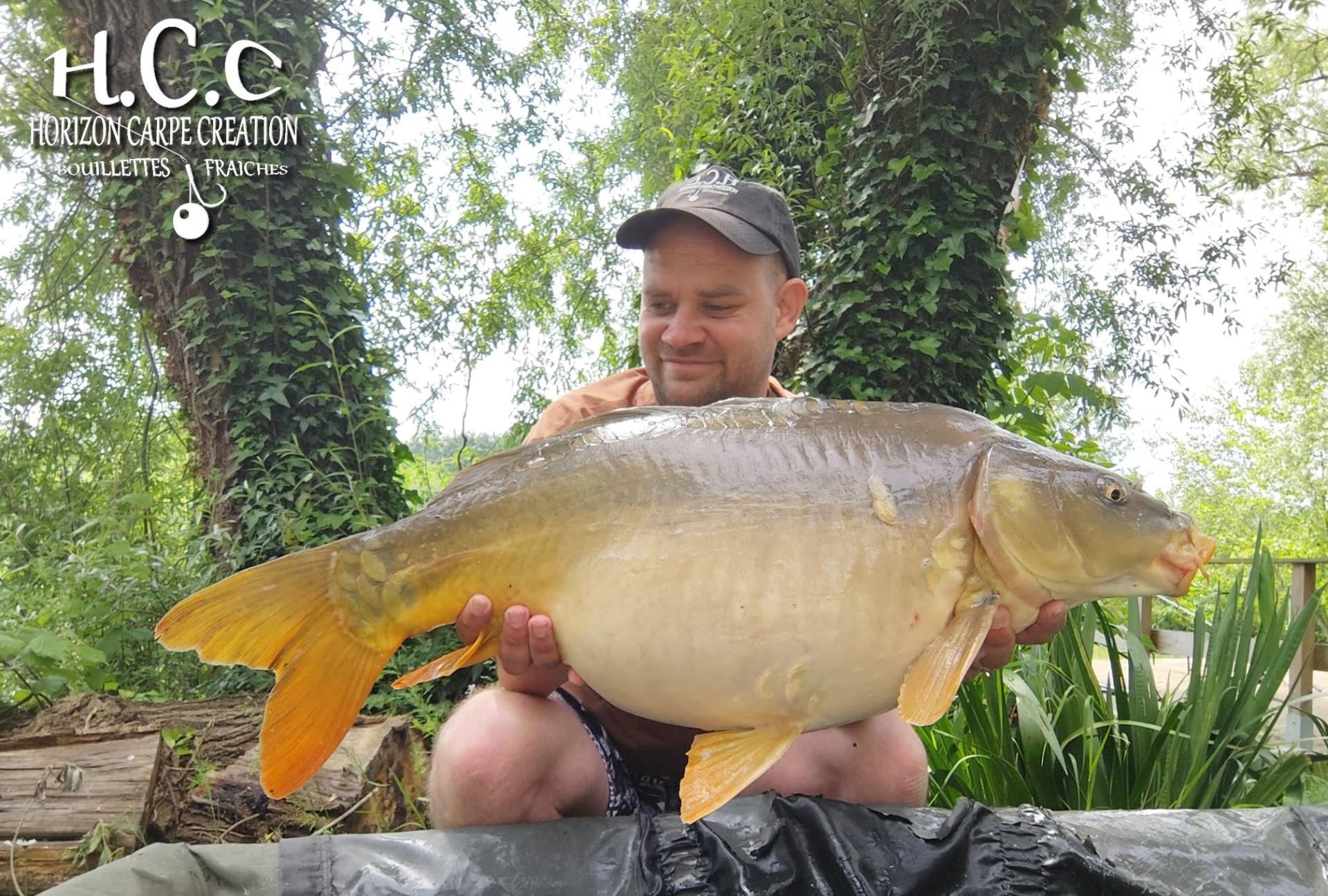 QUENTIN ZAMBELLI - TESTEUR HCC