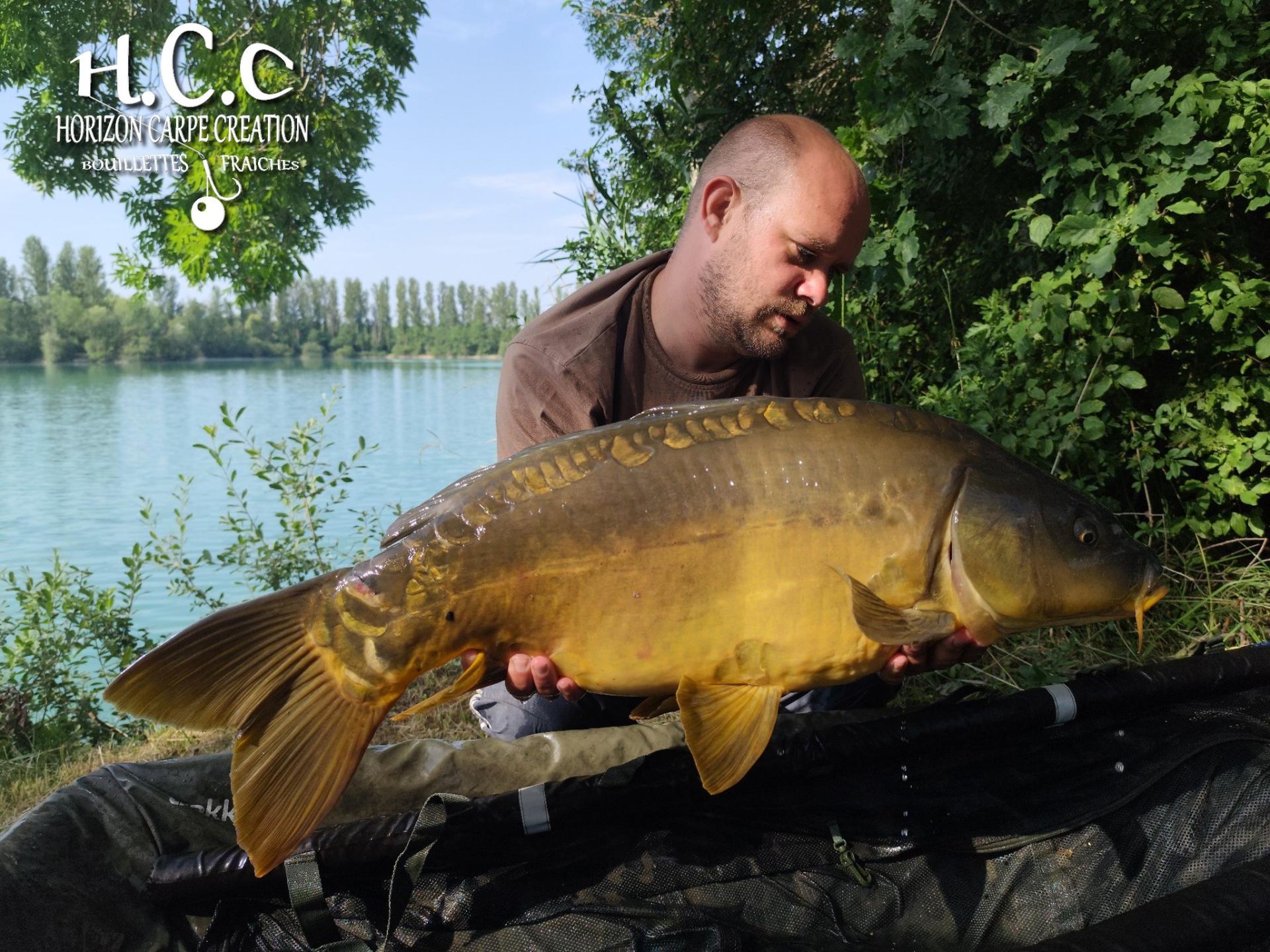 QUENTIN ZAMBELLI - TESTEUR HCC