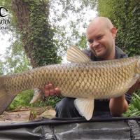 QUENTIN ZAMBELLI - TESTEUR HCC