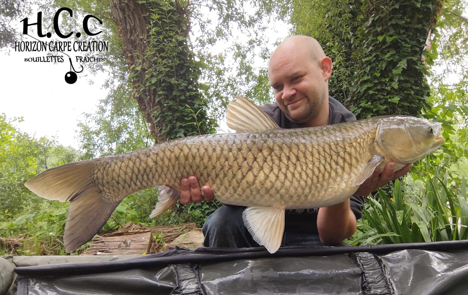 QUENTIN ZAMBELLI - TESTEUR HCC