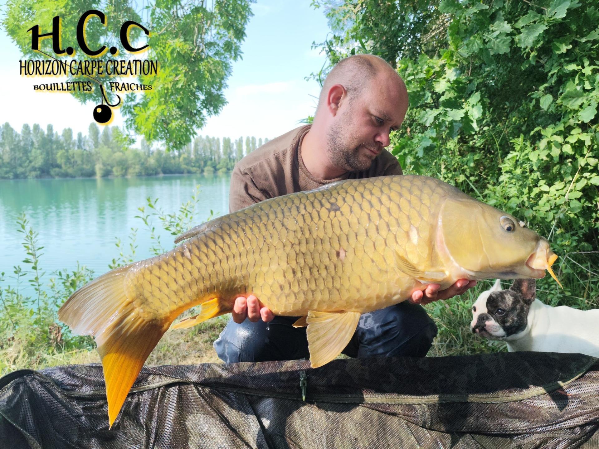 QUENTIN ZAMBELLI - TESTEUR HCC