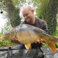 QUENTIN ZAMBELLI - TESTEUR HCC