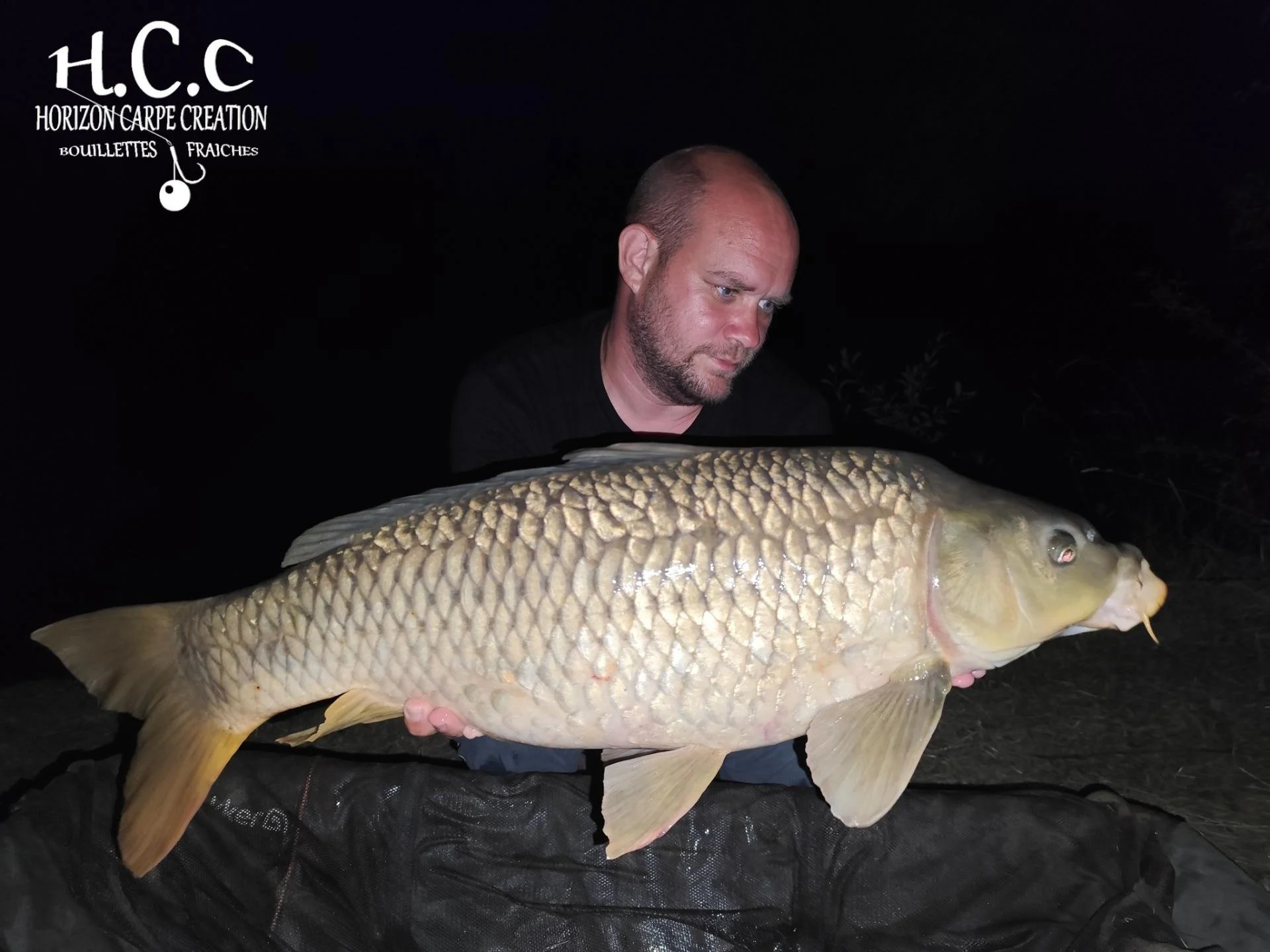 QUENTIN ZAMBELLI - TESTEUR HCC