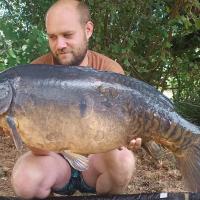 QUENTIN ZAMBELLI - CONSULTANT HCC