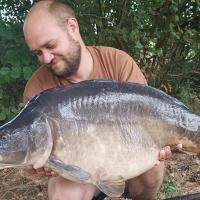 QUENTIN ZAMBELLI - CONSULTANT HCC