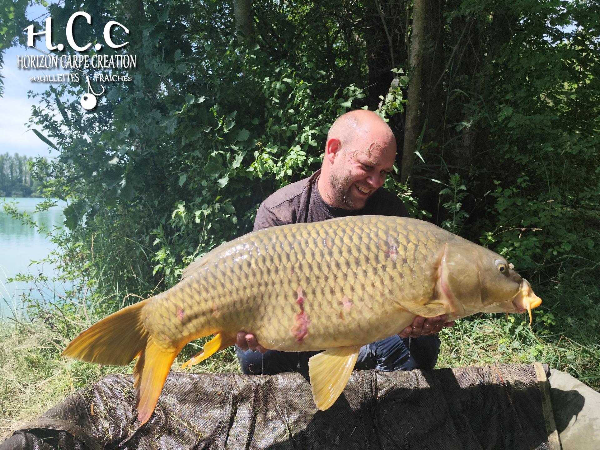 QUENTIN ZAMBELLI - TESTEUR HCC