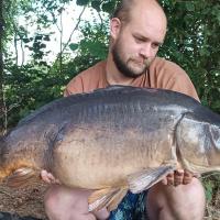 QUENTIN ZAMBELLI - CONSULTANT HCC