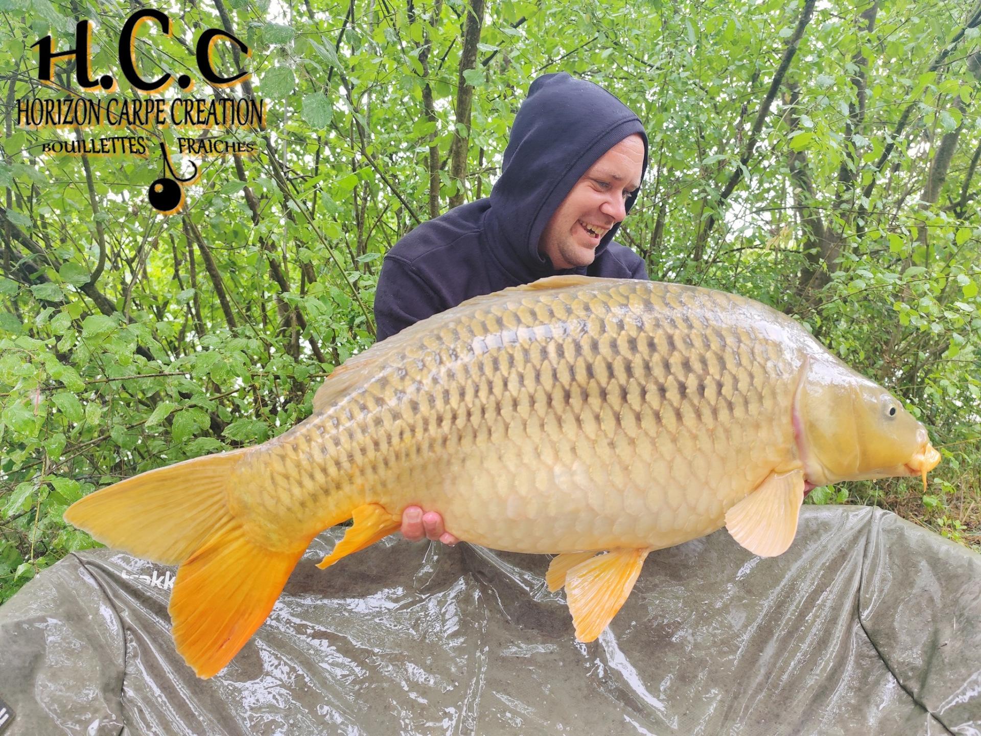 QUENTIN ZAMBELLI - TESTEUR HCC