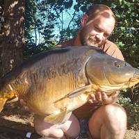 QUENTIN ZAMBELLI - CONSULTANT HCC