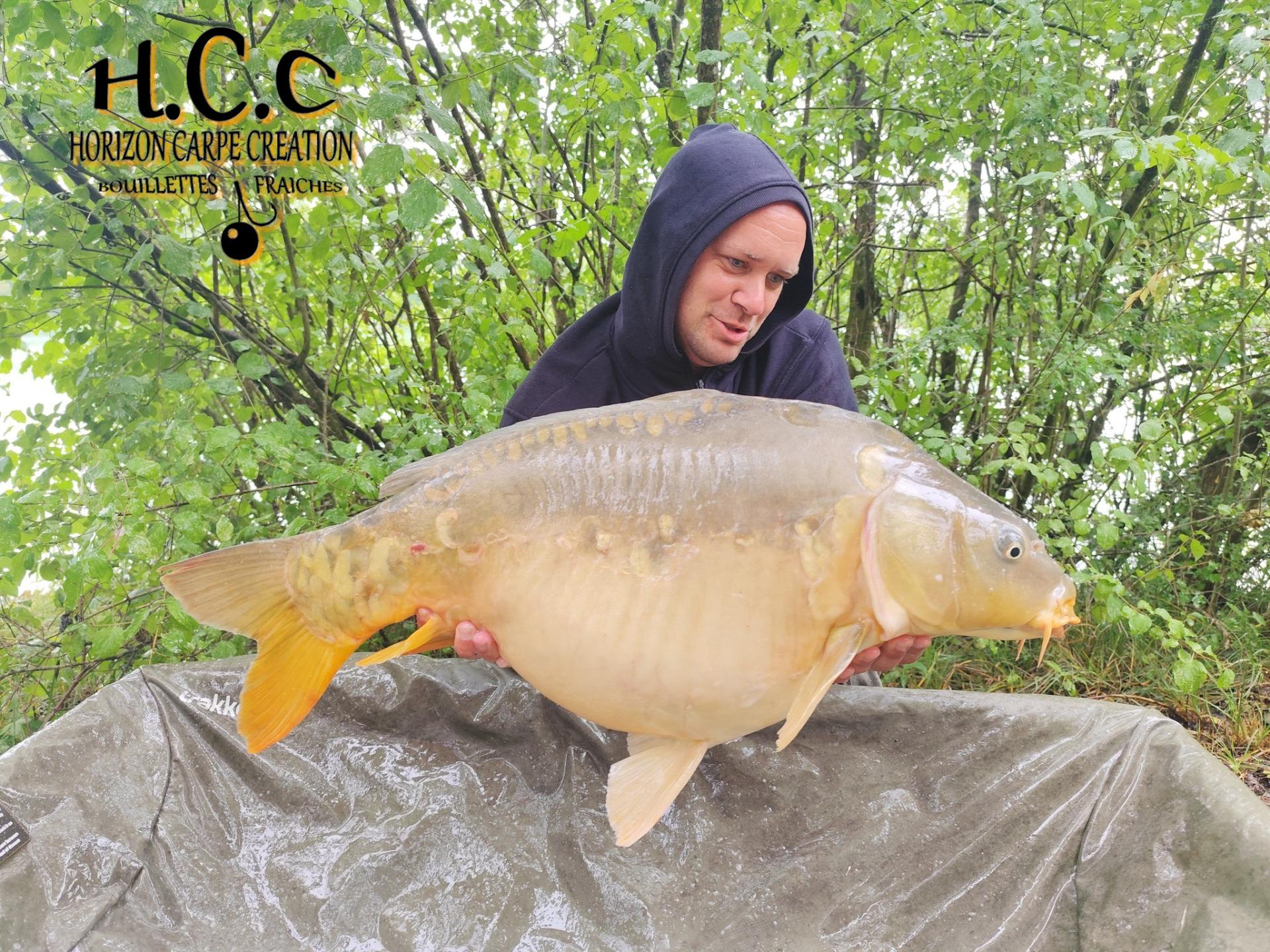 QUENTIN ZAMBELLI - TESTEUR HCC