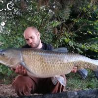 QUENTIN ZAMBELLI - CONSULTANT HCC