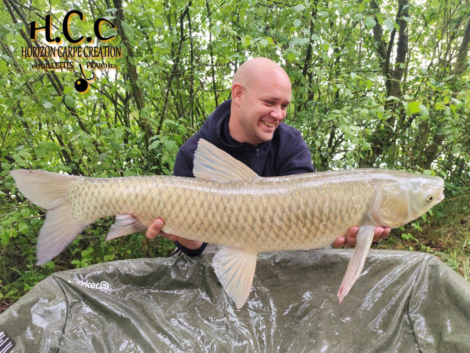 QUENTIN ZAMBELLI - TESTEUR HCC