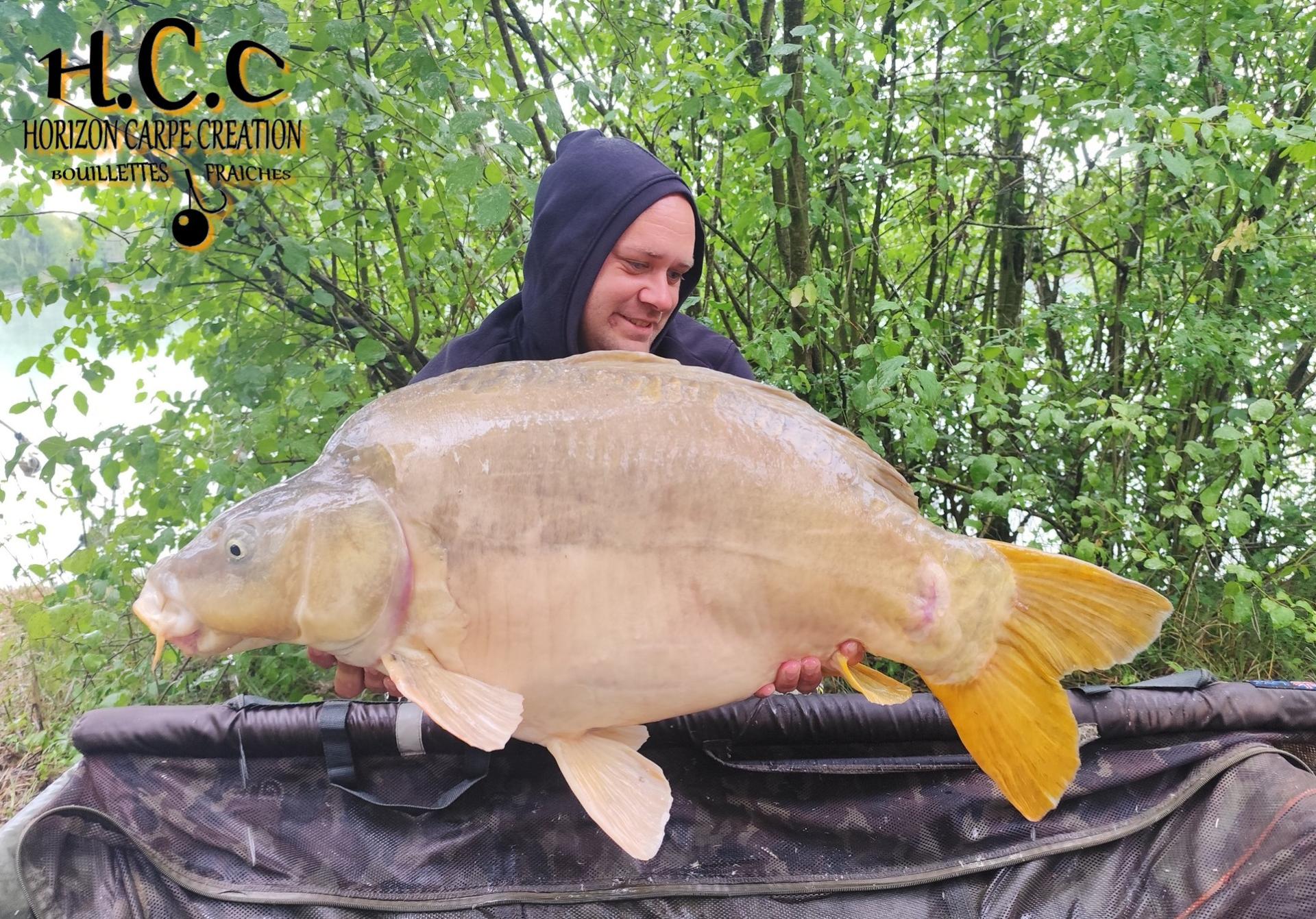QUENTIN ZAMBELLI - TESTEUR HCC