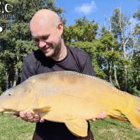 QUENTIN ZAMBELLI - CONSULTANT HCC
