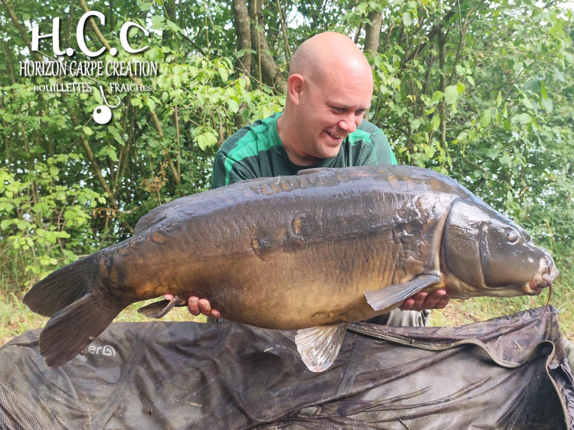 QUENTIN ZAMBELLI - TESTEUR HCC