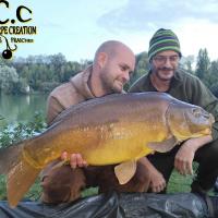 QUENTIN ZAMBELLI - CONSULTANT HCC