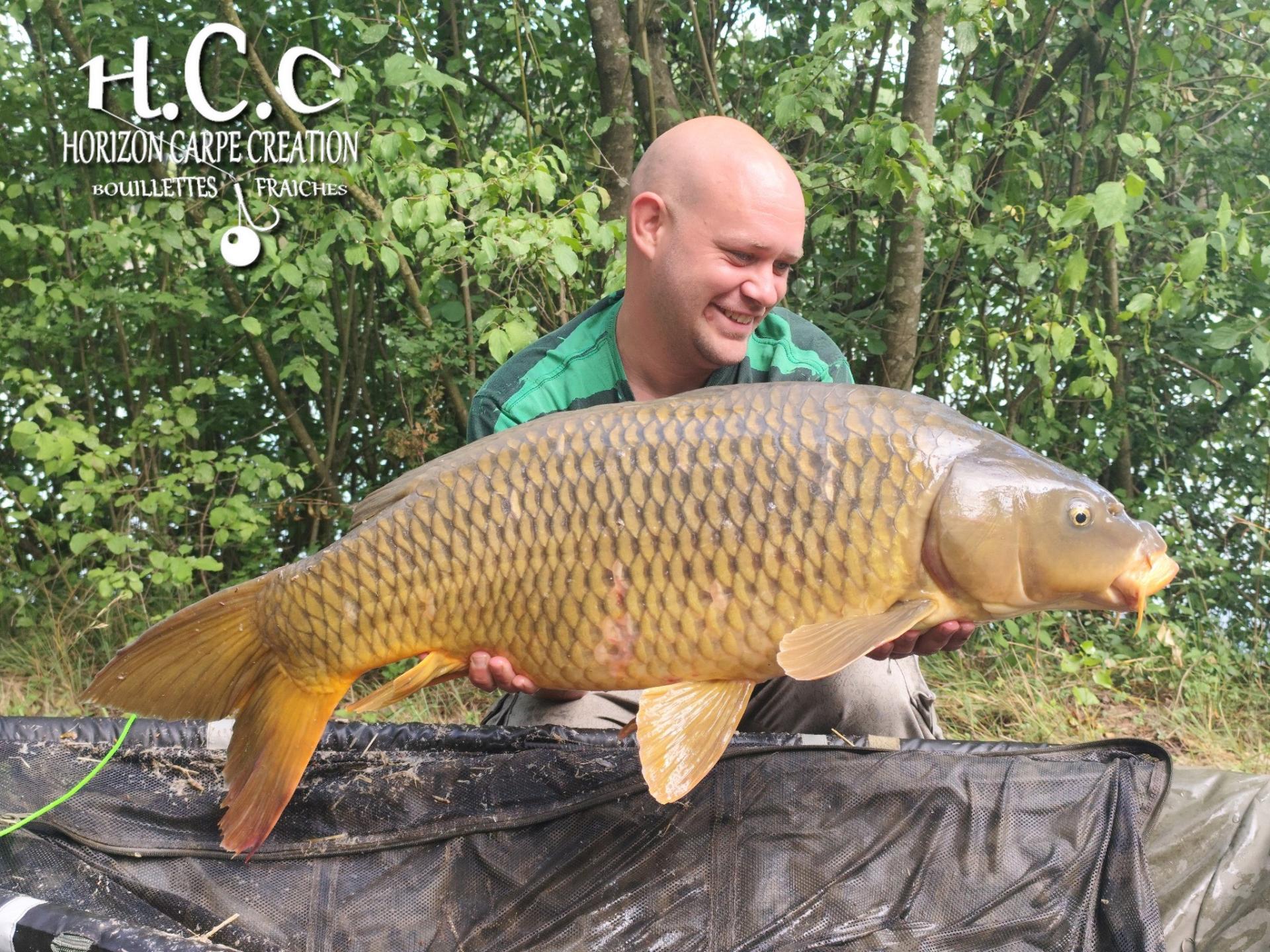 QUENTIN ZAMBELLI - TESTEUR HCC