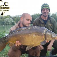 QUENTIN ZAMBELLI - CONSULTANT HCC