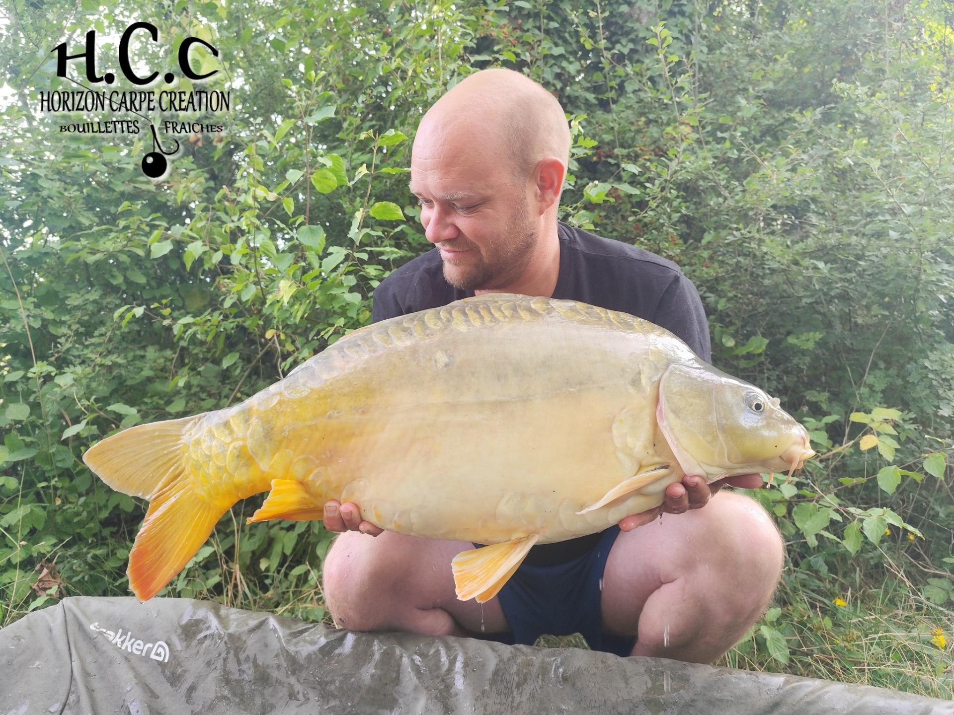 QUENTIN ZAMBELLI - TESTEUR HCC