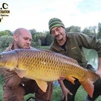QUENTIN ZAMBELLI - CONSULTANT HCC