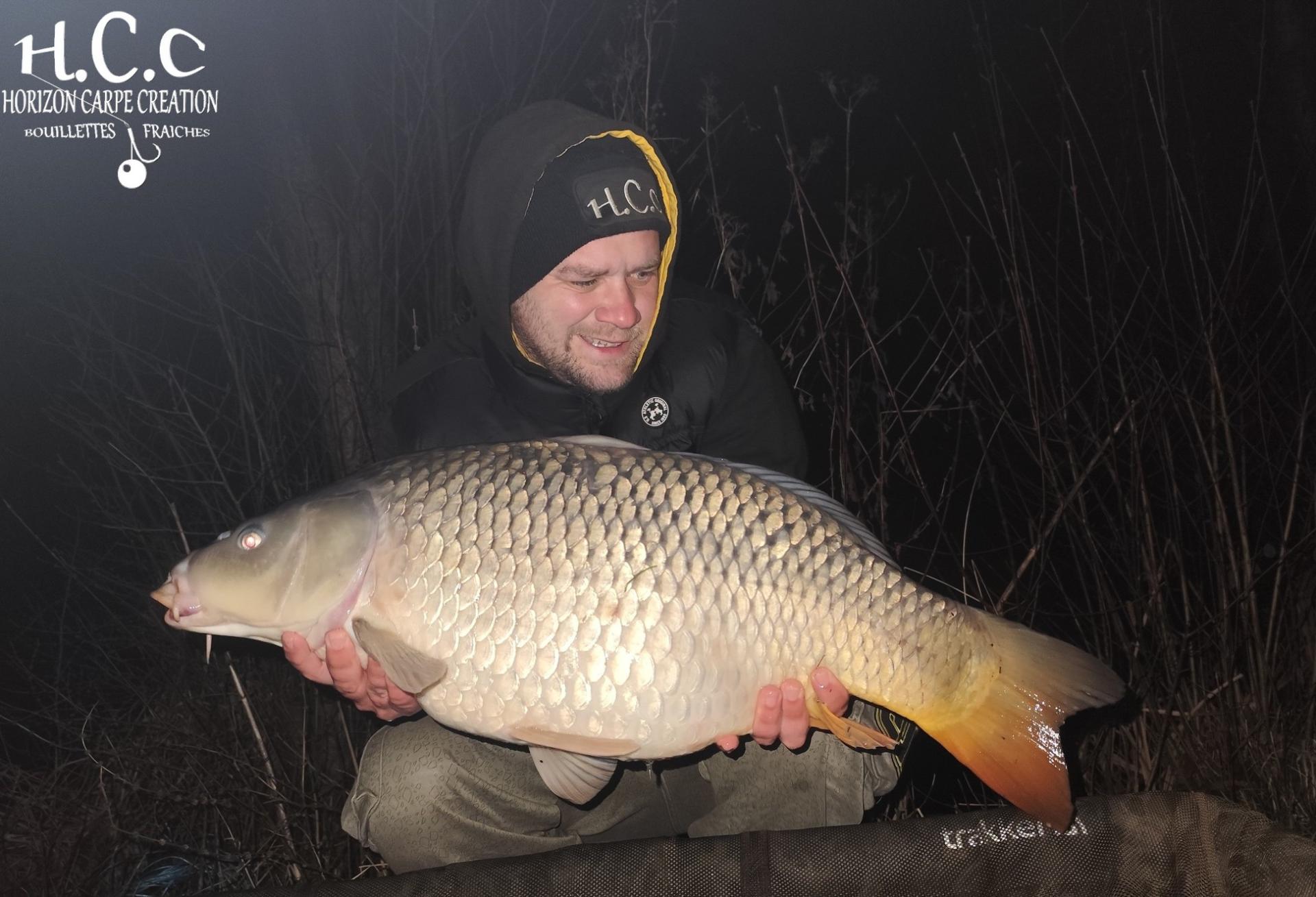 QUENTIN ZAMBELLI - TESTEUR HCC