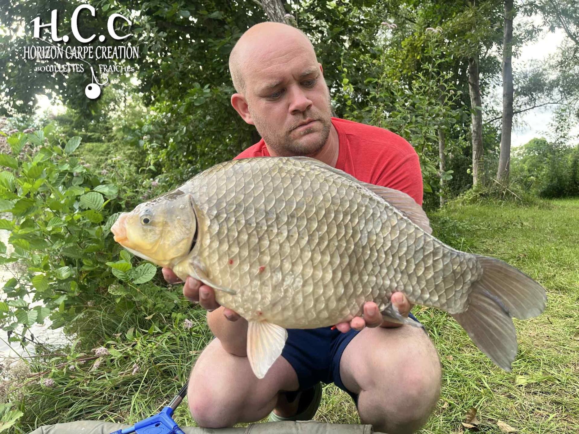 QUENTIN ZAMBELLI - TESTEUR HCC
